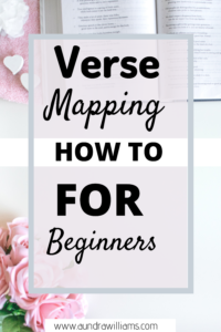 Verse Mapping How to for beginners
